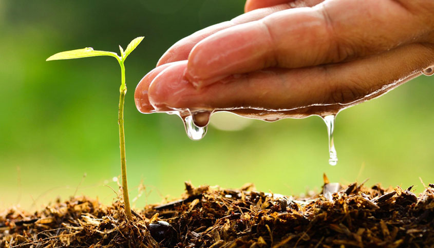 Imagen manos y agua para Evaporación: Solución medioambiental